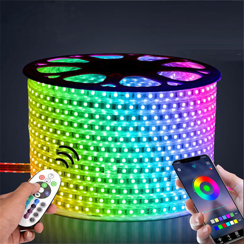 LAIERERT 220V LED Strip Light 12V RGB SMD 5050 Tape Phone APP and Remote control Waterproof flexible lights Outdoor room decoration lamp