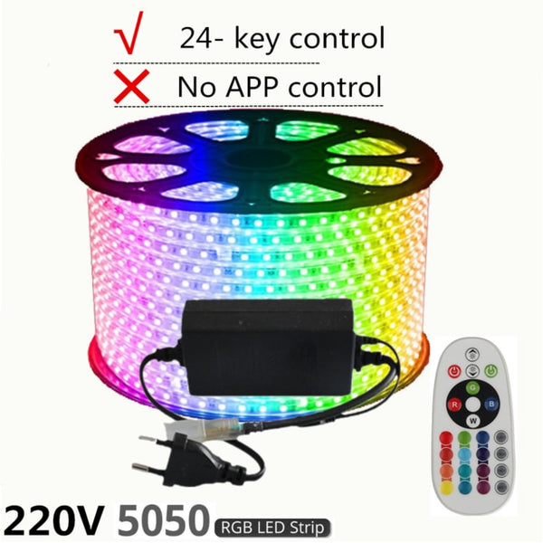 LAIERERT 220V LED Strip Light 12V RGB SMD 5050 Tape Phone APP and Remote control Waterproof flexible lights Outdoor room decoration lamp
