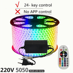 LAIERERT 220V LED Strip Light 12V RGB SMD 5050 Tape Phone APP and Remote control Waterproof flexible lights Outdoor room decoration lamp