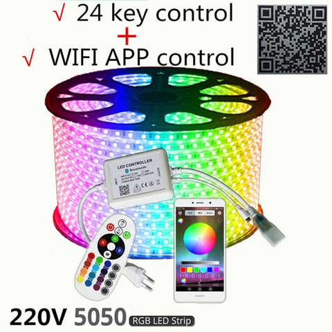 LAIERERT 220V LED Strip Light 12V RGB SMD 5050 Tape Phone APP and Remote control Waterproof flexible lights Outdoor room decoration lamp